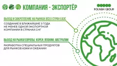 koncepcia-polivan-13